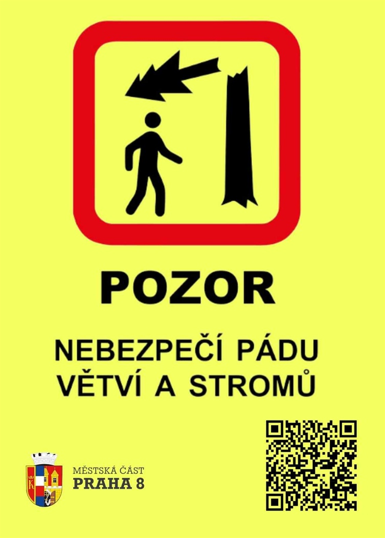 Nebezpečí pádu větví a stromů