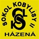 Sokol Kobylisy II házená logo 300x300