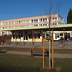 ZŠ Burešova – vstup
